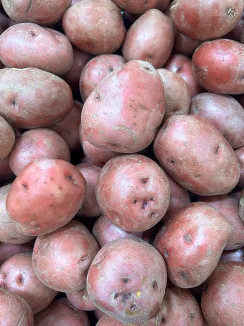 Tomate Italiano (kg)